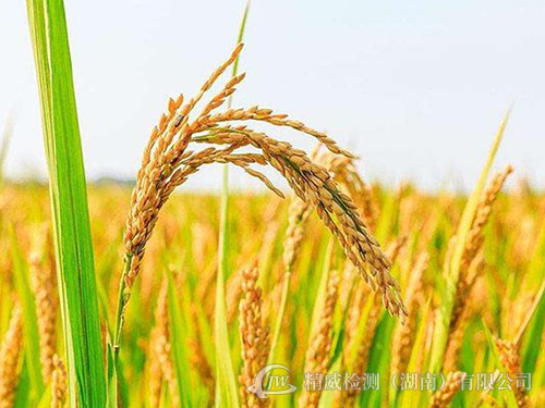 農(nóng)產(chǎn)品監(jiān)測 農(nóng)產(chǎn)品監(jiān)測